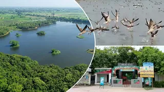 सांकेतिक तस्वीर।