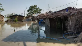सिसवा गांव में घुसा बाढ़ का पानी। फोटो: जागरण