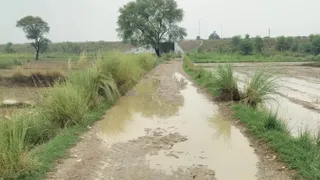 त्योहारों के मद्देनजर 70 सड़कें होंगी गड्ढा मुक्त।