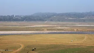 पौंग बांध विस्थापितों ने झील किनारे खेती की अनुमति मांगी है। प्रतीकात्मक फोटो
