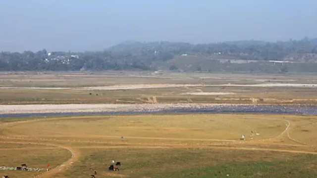 पुनर्वास के इंतजार में आर्थिक तंगी में पौंग बांध विस्थापित, सरकार से झील किनारे खेती की मांगी अनुमति
