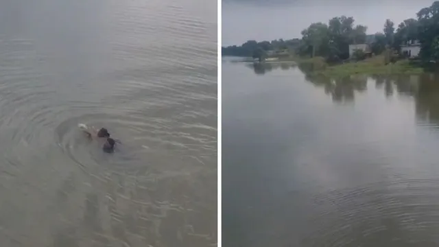 समस्तीपुर में बच्चे को लेकर नदी में कूदने पहुंची महिला, लोगों की तत्परता से दोनों की बची जान