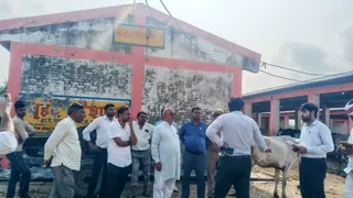 इस्लामनगर विकासखंड क्षेत्र के नूरपुर पिनौनी स्थित वृहद गोशाला का निरीक्षण करते एसडीएम बिल्सी गौरव आर्य। जागरण
