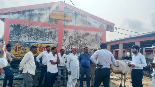 बदायूं में गोशालाओं की बदहाली पर बवाल: 7 गायों की मौत का वीडियो वायरल, DM बोले- 'एक भी मौत नहीं हुई'
