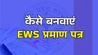 News Article Hero Image