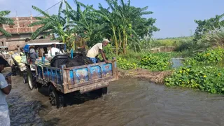 बाढ़ का पानी आने के बाद सुरक्षित स्थान की ओर पलायन। जागरण