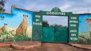 कूनो नेशनल पार्क का प्रवेश द्वार (फाइल फोटो)