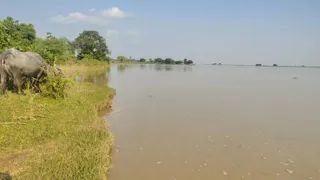 खतरे के निशान से 12 सेमी ऊपर पहुंचा सरयू का जलस्तर।