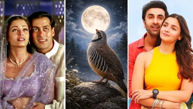 हिंदी गानों में क्यों सुनाई देता है चांद-चकोर? सलमान-ऐश्वर्या से लेकर रणबीर-आलिया के गीतों में है शामिल; दिलचस्प है कहानी