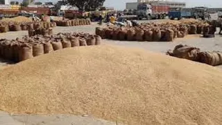 एक नवंबर से शुरू होगी धान की खरीद
