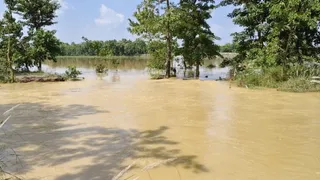पश्चिम चंपारण जिले के सिकटा में खेतों में जमा बाढ़ पानी।