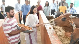 नंदी पार्क गौशाला का औचक निरीक्षण गायों को गुण खिलातीं महानिदेशक मत्स्य पालन एवं दुग्ध आयुक्त धनलक्ष्मी के। सौ. नगर निगम