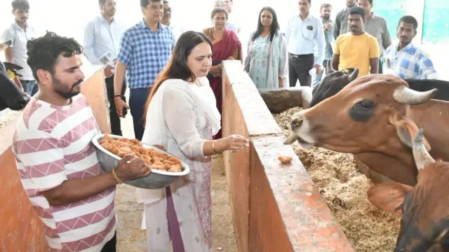 पूरे UP में लागू होगा गाजियाबाद का नंदी पार्क गोशाला मॉडल, गोबर से प्राकृतिक पेंट बनाने की भी तैयारी