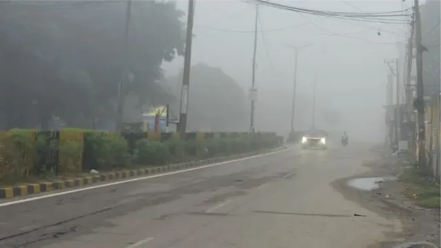 मौसम का अचानक बदला मिजाज, सोनीपत में बारिश के बाद सुबह छाई धुंध; विजिबिलिटी घटी
