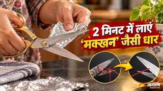 कैंची की धार हो गई है बेकार? अपनाएं ये घरेलू उपाय (Image Source: AI-Generated)