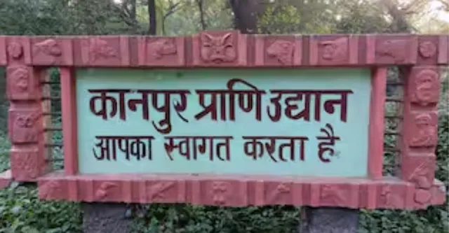 कानपुर चिड़ियाघर में 3 काले हिरणों की मौत, एक बाड़े में हैं 87 हिरण, दूसरों में भी संक्रमण फैलने की आशंका
