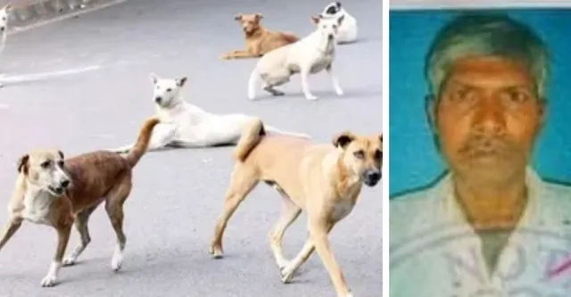 दर्दनाक; बुजुर्ग में रेबीज संक्रमण फैला तो बोला- ऐसे मरने से बेहतर है मंदिर में बलि दे दूं, फिर गला काट दे दी जान