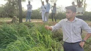 फसलों का निरीक्षण करते राजस्व अधिकारी।