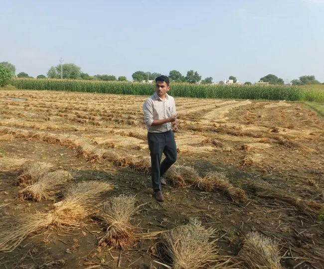 aligarh crop check small 01