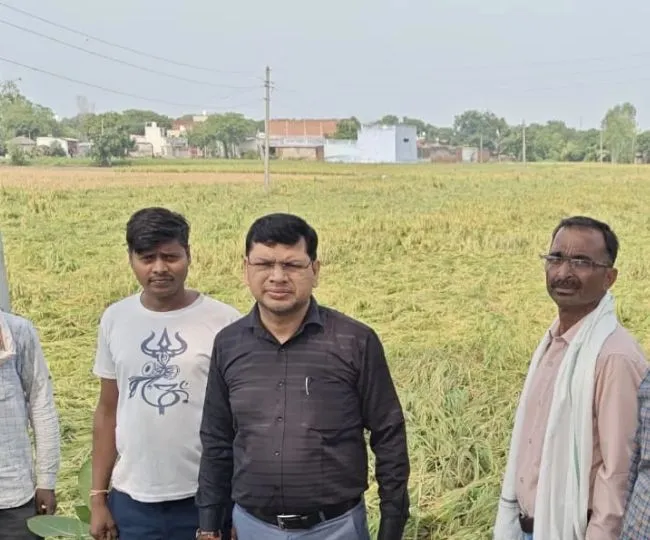aligarh crop check small 01