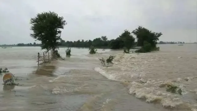 नेपाल में भारी बारिश से गंडक उफनाई, बिहार में बाढ़ का खतरा बढ़ा; पश्चिम चंपारण में दो तटबंध क्षतिग्रस्त