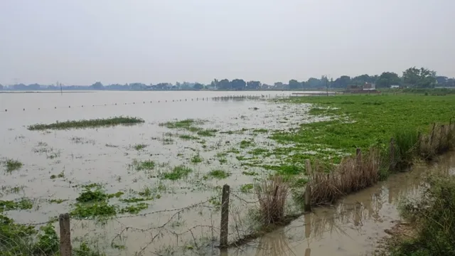 गोरखपुर में बेटी की शादी और कर्ज की उम्मीद डूबी, बाढ़ ने उजाड़ दी किसानों की सब्जी की खेती