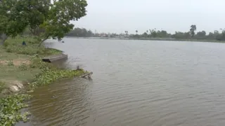 दरभंगा जिले में मोईन पोखर।