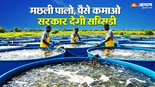 Bihar Fish Farming Subsidy 2026: मछली पालन से बढ़ाएं आमदनी