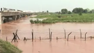 डेरा बाबा नानक में भारत-पाक सरहद पर बह रही रावी।