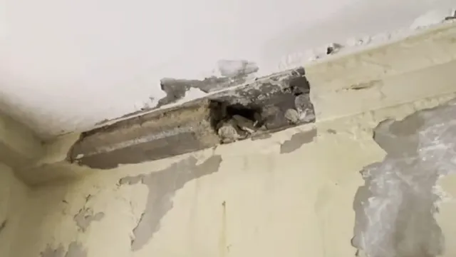 चार साल में ही जर्जर हुए नरेला के 2860 EWS फ्लैट, कहीं बीम गिर रही तो कहीं दीवारों में सीलन
