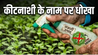 राष्ट्रीय वनस्पति स्वास्थ्य प्रबंधन संस्थान, हैदराबाद की जांच में जीवित जीवाणुओं की संख्या तय मानक से काफी कम मिली है।