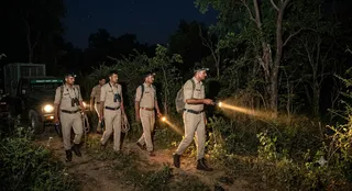 इस फोटो को AI के माध्यम से तैयार किया गया है।