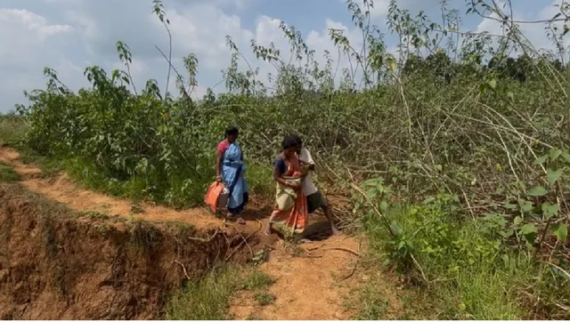 ओडिशा का कड़वा सच: लचर-पचर सिस्टम से जच्चा लाचार, प्रसव के बाद नहीं पहुंची एंबुलेंस तो नवजात को गोद में लेकर 3 किमी पैदल चली मां
