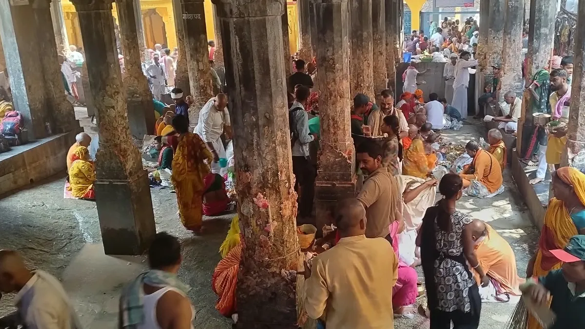 gaya 1