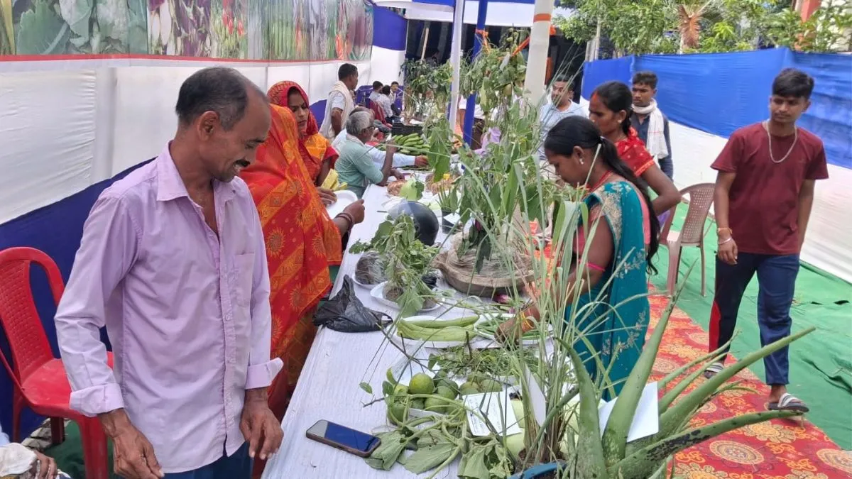 masoor ki kheti cost profit sitamarhi model district bihar