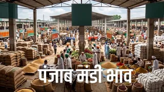 ये प्रतीकात्मक तस्वीर है।