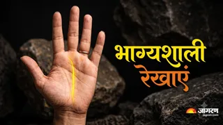 हथेली की ये रेखाएं बताएंगी आपका भविष्य। (Picture Credit- AI Generated)