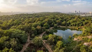 अरावली पर्वत श्रृंखला में शामिल उत्तरी रिज की 277.56 एकड़ जमीन अब वन क्षेत्र में शामिल हो जाएगी। एआई इमेज