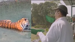 भूपेंद्र यादव ने हरी झंडी दिखाकर एनक्लोजर का द्वार खुलवाया।