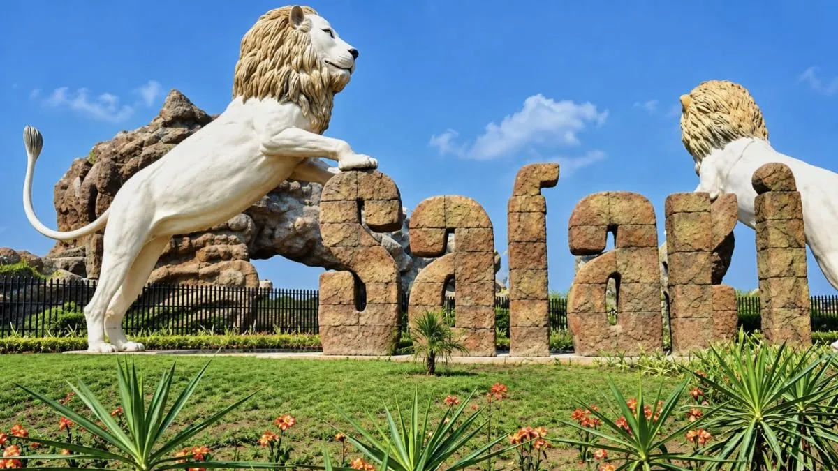 chambal safari