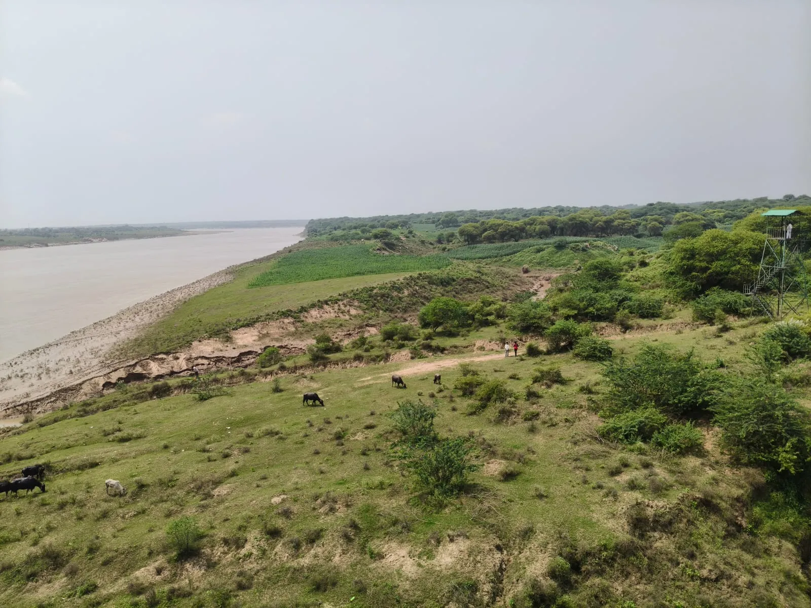 chambal111 (1)