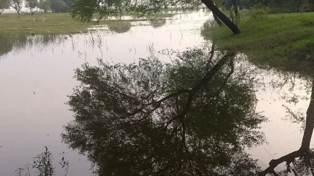 फसल थी नहीं, नुकसान कैसे हुआ? अनुदान के दावों ने कृषि विभाग को चौंकाया, भोजपुर में अब रिपोर्ट खोलेगी राज
