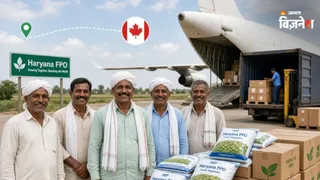 हरियाणा से कनाडा पहुंचा किसानों का माल (AI Image)