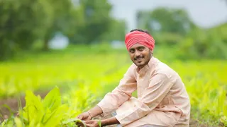 सूखे के संकट में किसानों का सहारा बनी प्रधानमंत्री फसल बीमा योजना