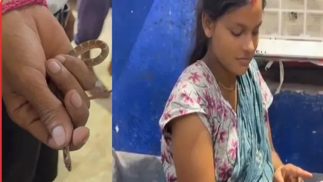 हाथ में जिंदा सांप दबाए नवादा के अस्पताल पहुंचा युवक, डॉक्टरों ने देखा तो रह गए हैरान; वजह थी बेहद खास
