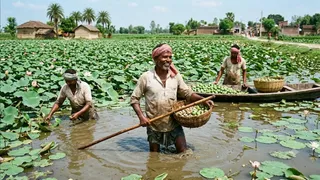 इस फोटो को एआई टूल की मदद से बनाया गया है।