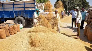 धान का रेट 4400 रुपये प्रति क्विंटल पहुंचा (फाइल फोटो)