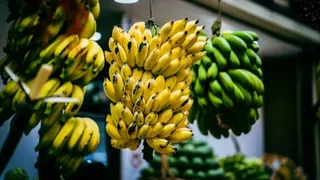 सांकेतिक तस्वीर