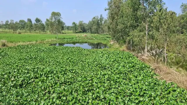 बाराबंकी में पुनर्जीवित होगी बाणहन्या नदी, लोधेश्वर श्रद्धालुओं को लाभ; प्रदेश की पहली नदी का चयन