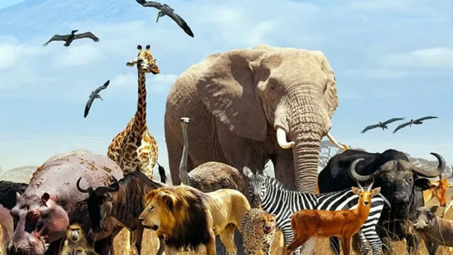 World Animal Welfare Day: दो रोटी से सवामणि तक, दुमका में पशुधन के प्रति प्रेम की अनूठी परंपरा